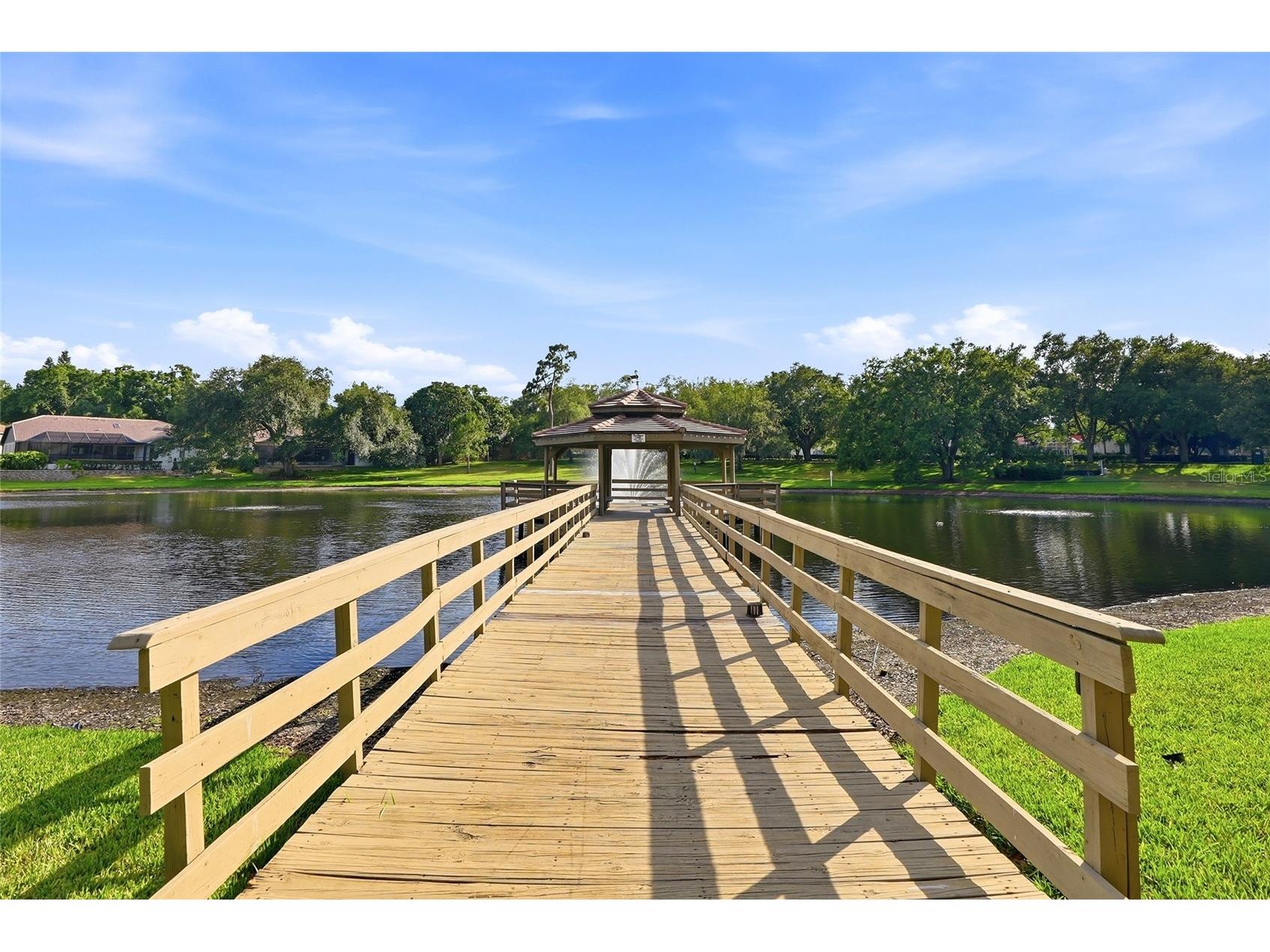 3493 Shoreline Circle Palm Harbor FL 34684 - LAKE TARPON TB8511432 image65