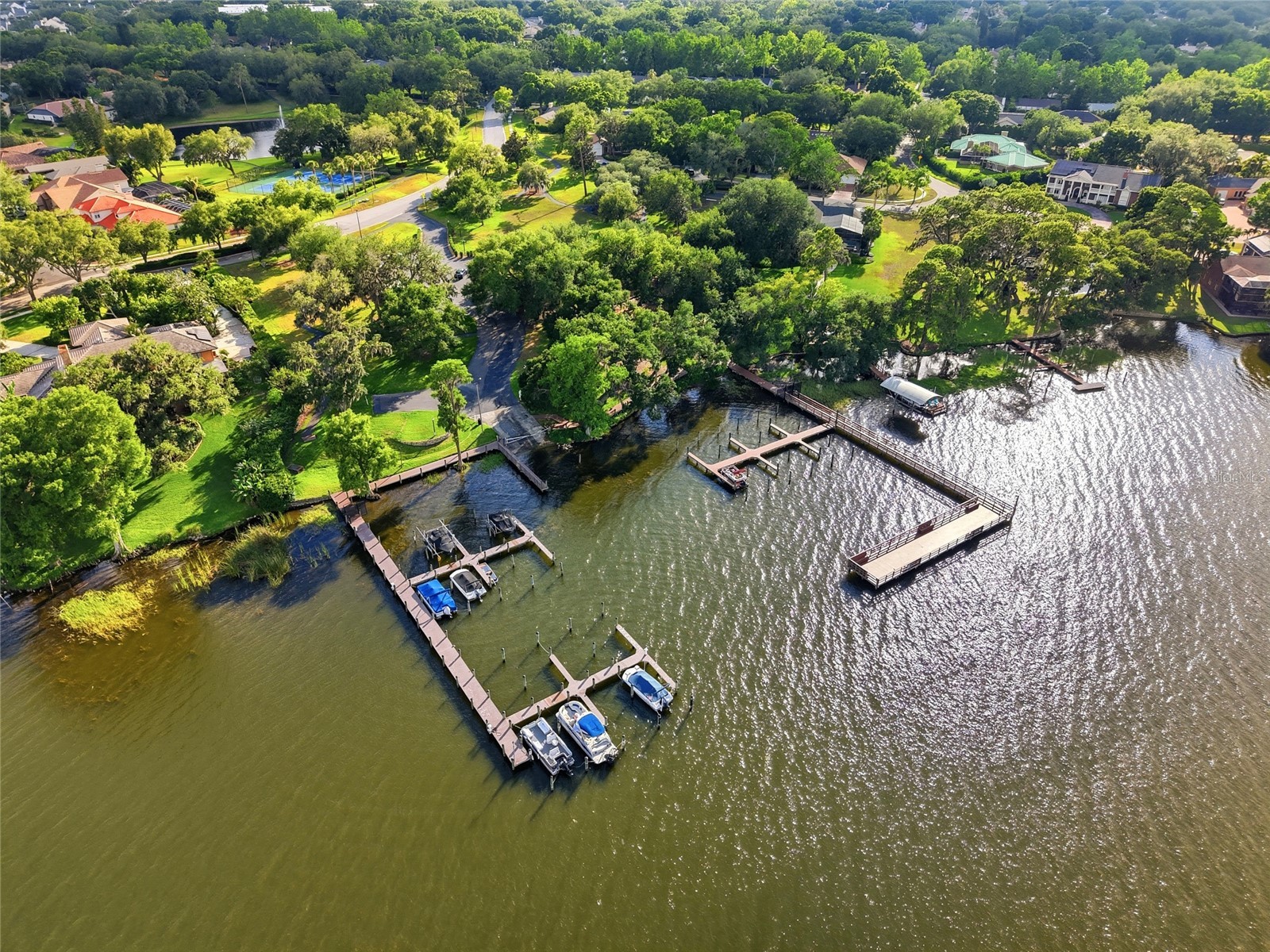 3493 Shoreline Circle Palm Harbor FL 34684 - LAKE TARPON TB8511432 image66