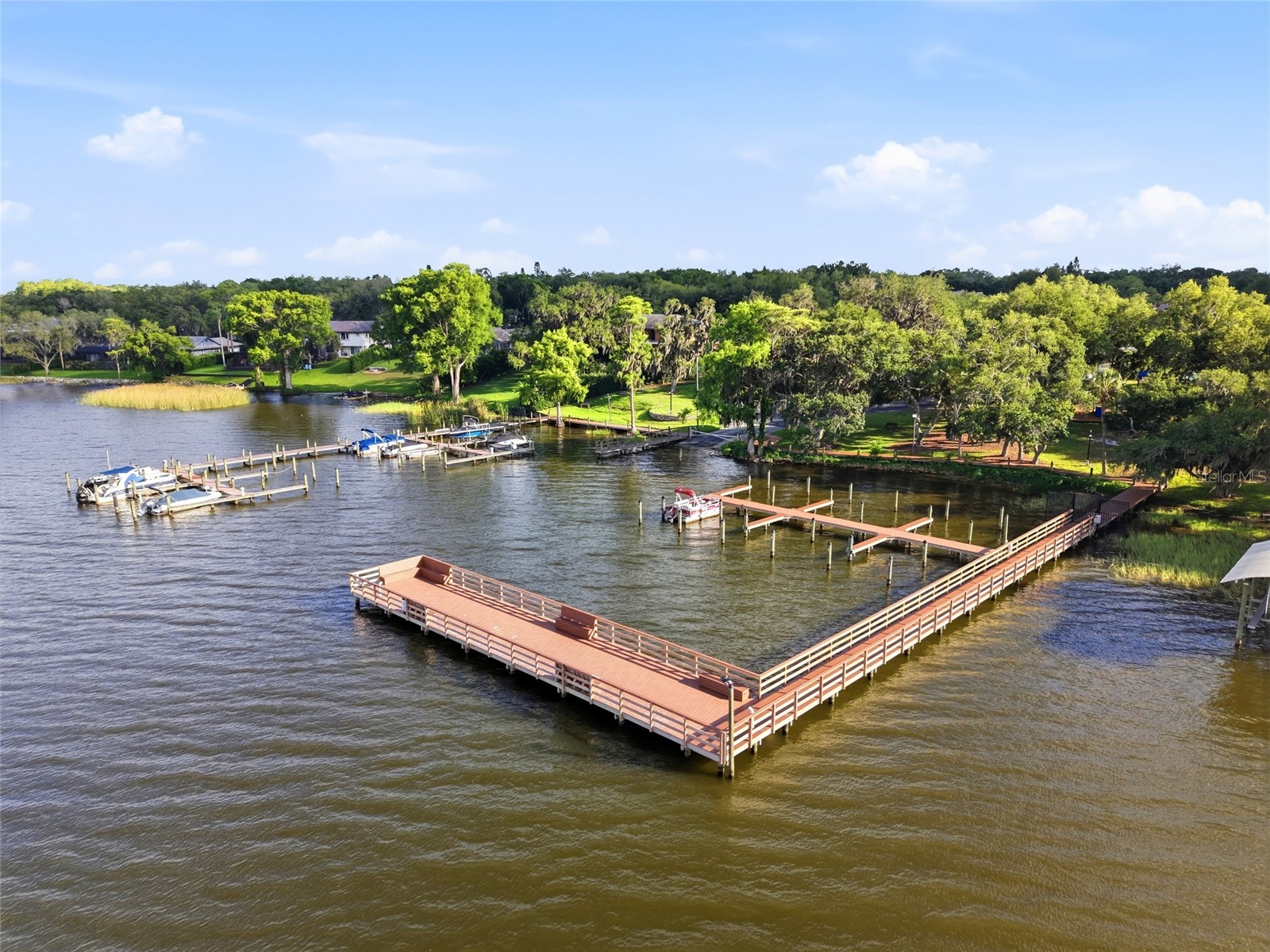 3493 Shoreline Circle Palm Harbor FL 34684 - LAKE TARPON TB8511432 image67