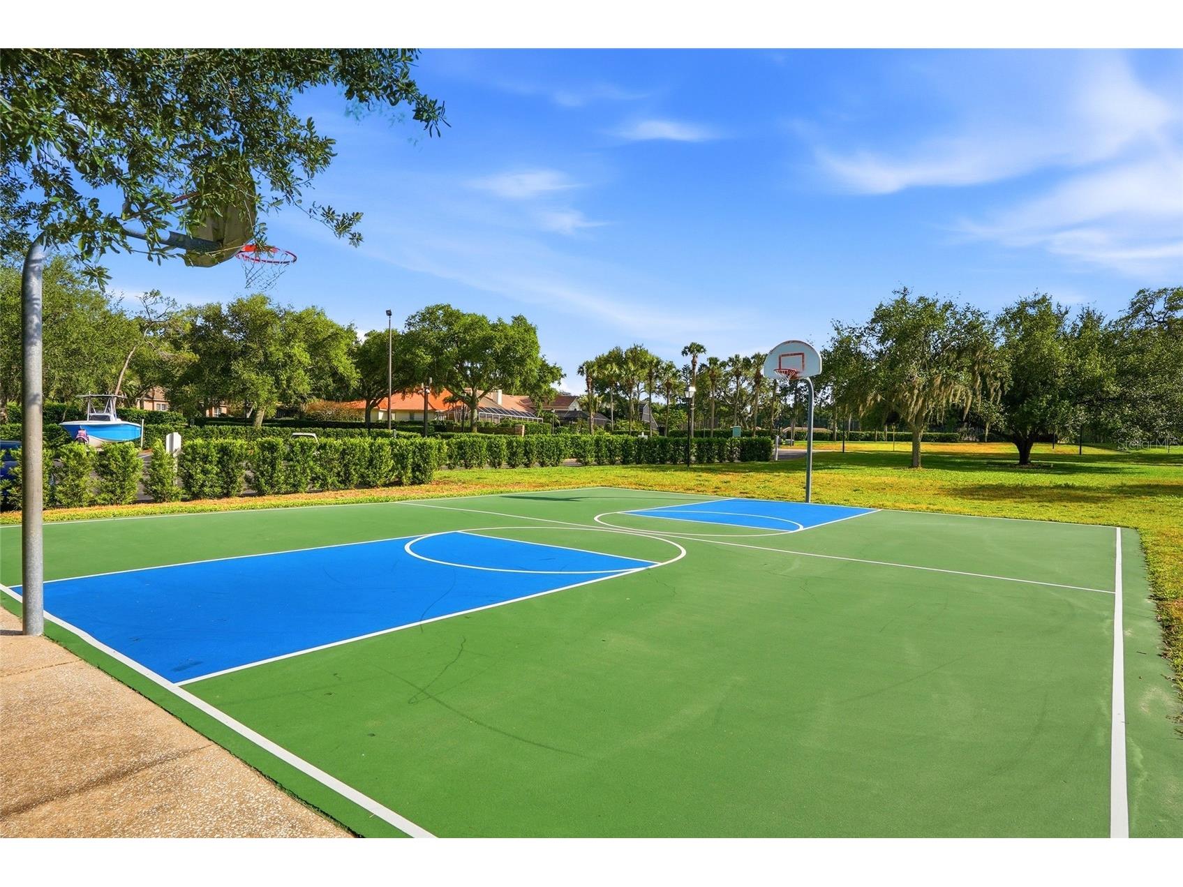 3493 Shoreline Circle Palm Harbor FL 34684 - LAKE TARPON TB8511432 image69