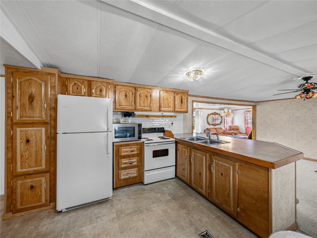 34935 Fun Way Zephyrhills FL 33541 TB8396075 image17