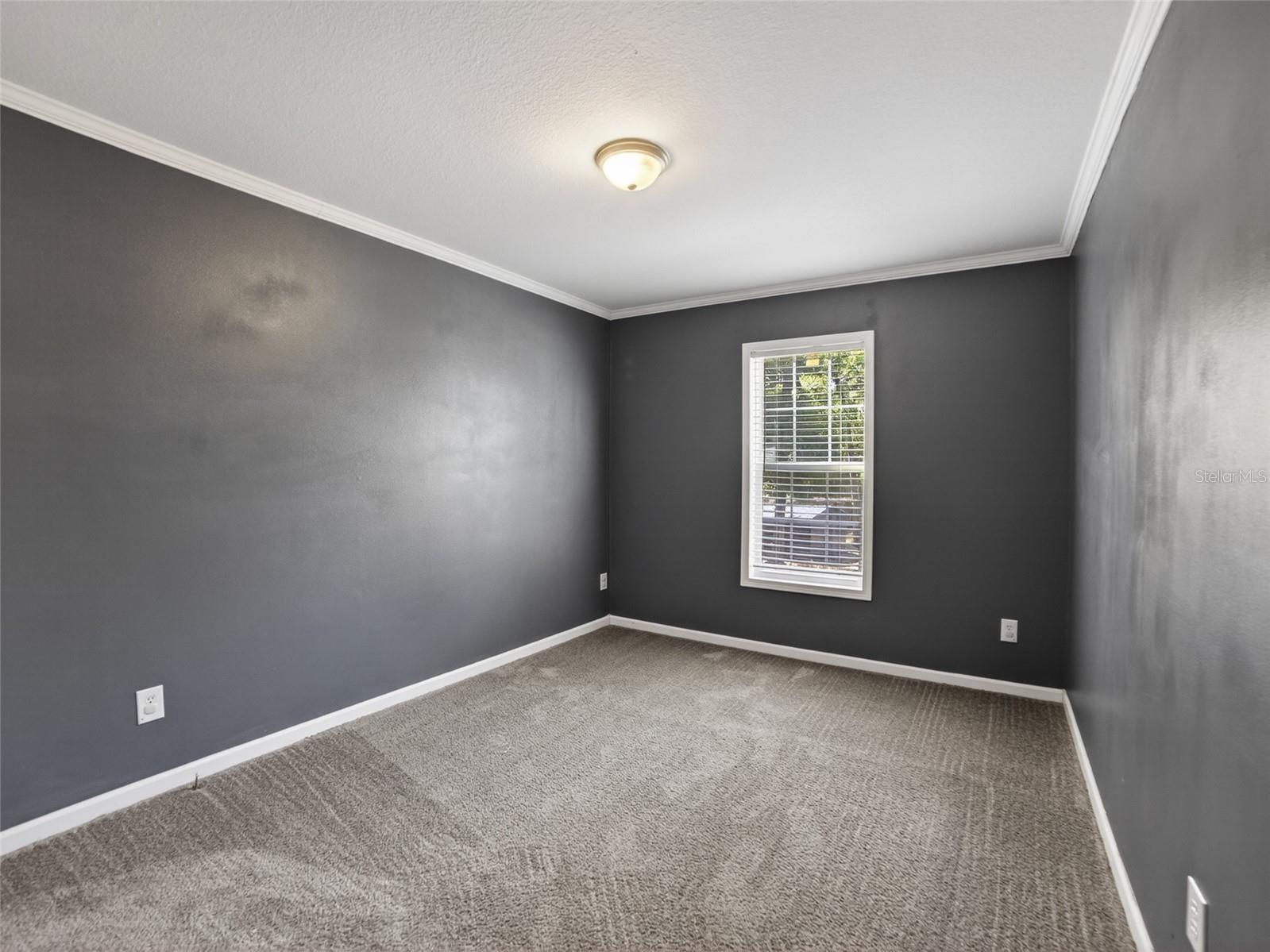 34938 Punch Road Dade City FL 33523 TB8498752 image19