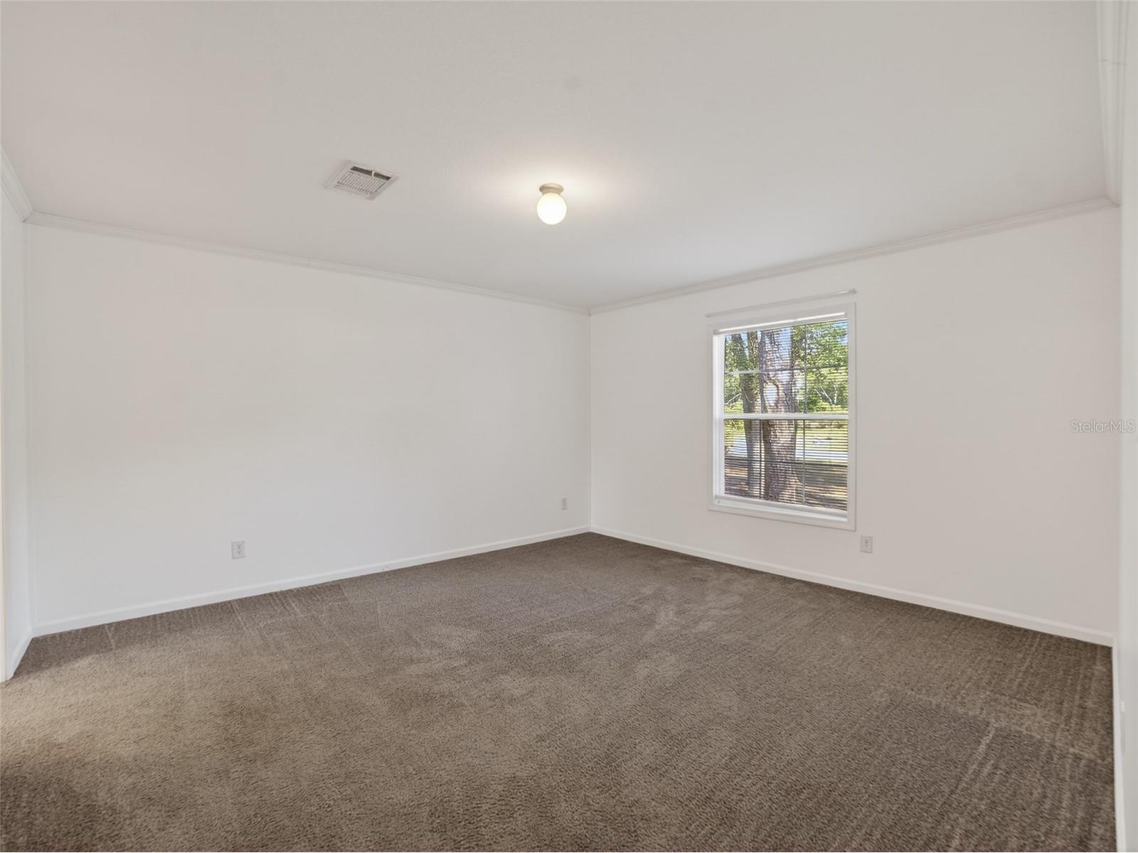 34938 Punch Road Dade City FL 33523 TB8498752 image25