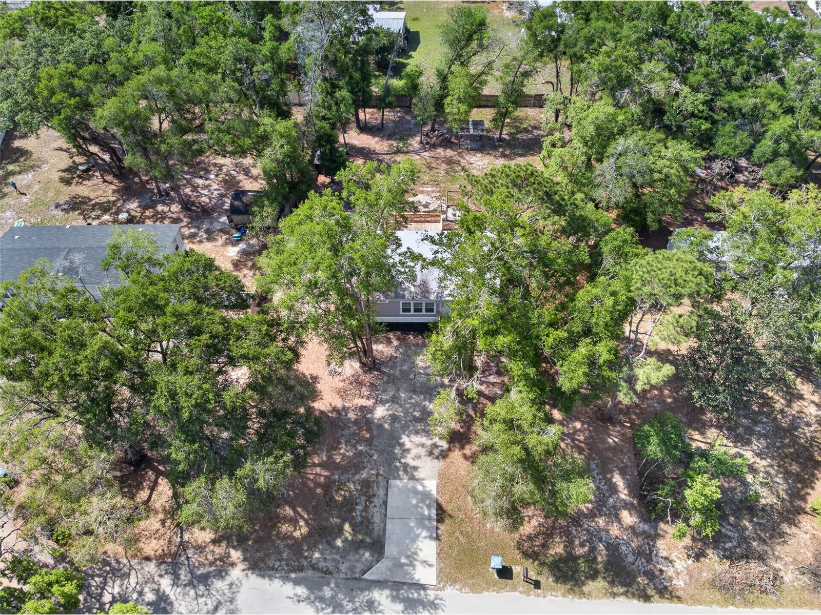 34938 Punch Road Dade City FL 33523 TB8498752 image44