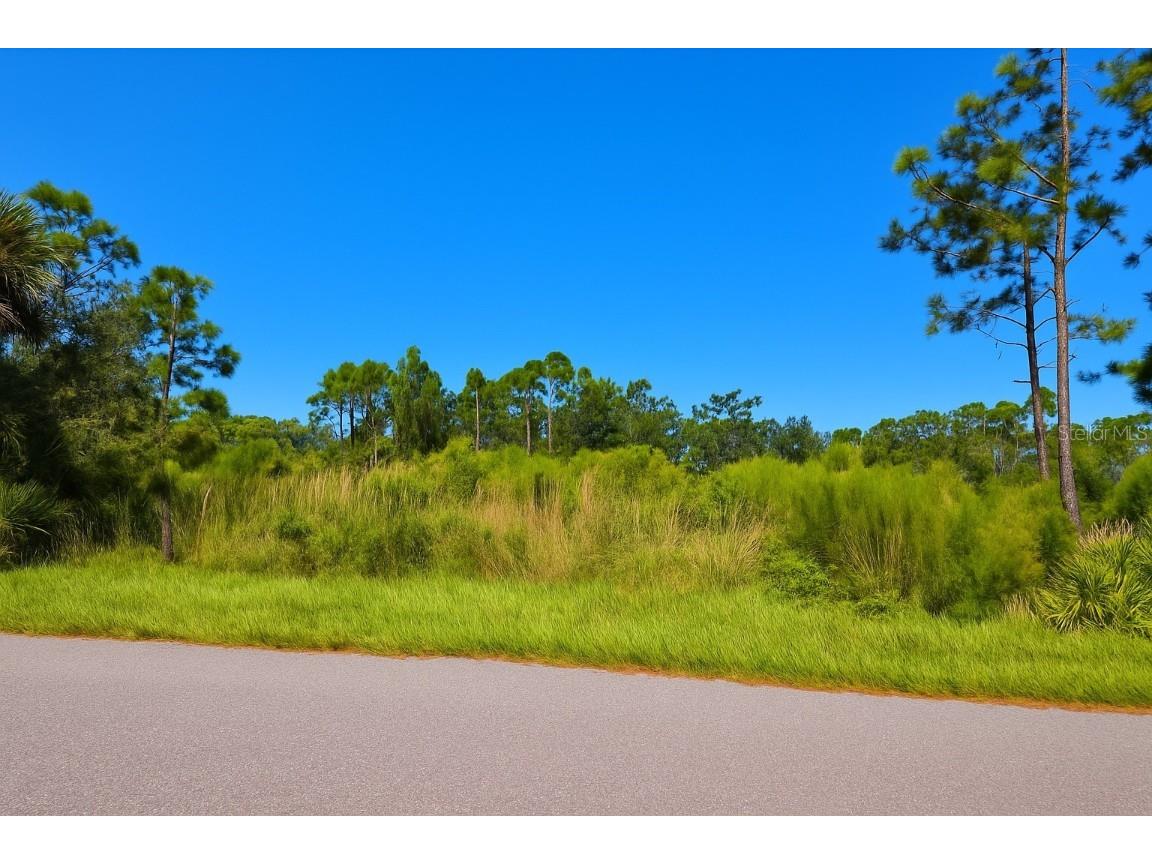 3494 Durkee Street Punta Gorda FL 33980 D6144271 image4