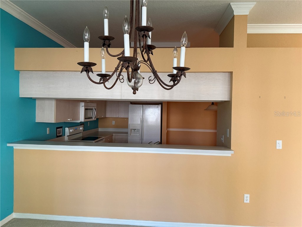 3494 Primrose Way Palm Harbor FL 34683 TB8440377 image13