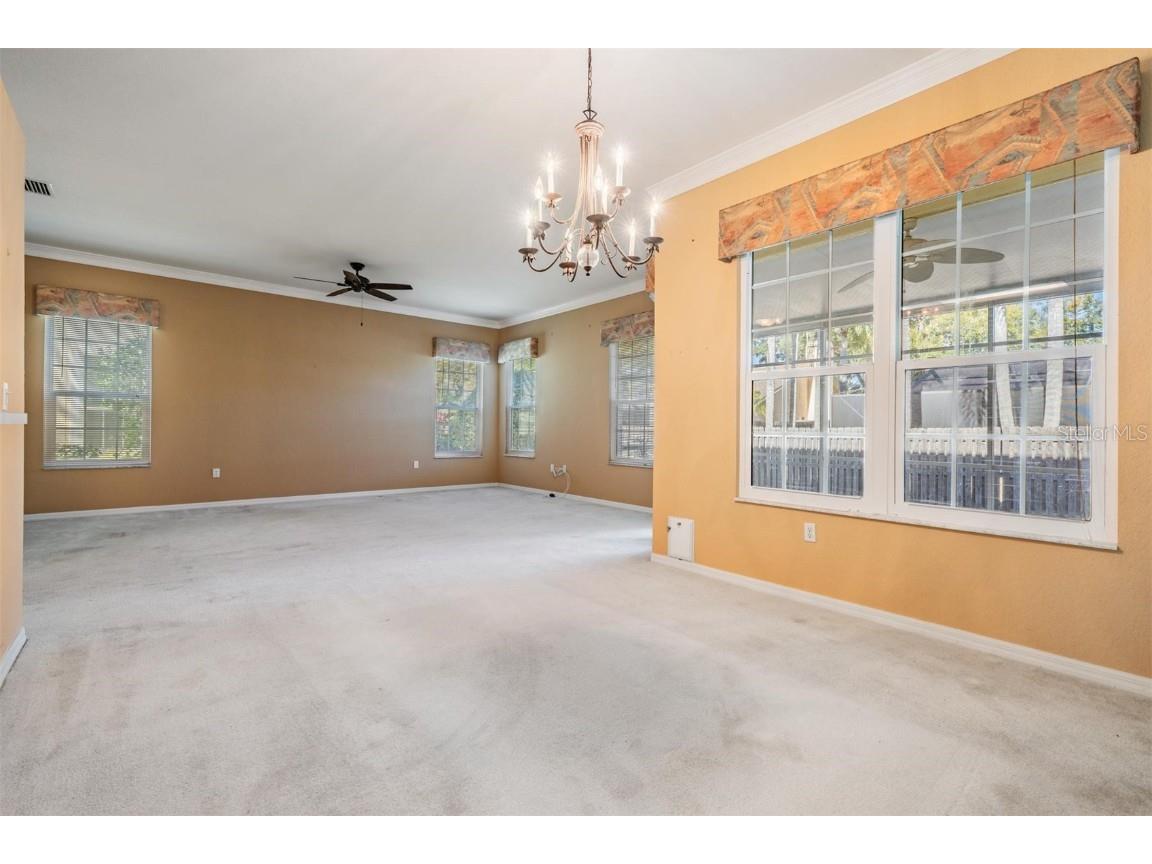 3494 Primrose Way Palm Harbor FL 34683 TB8440377 image18