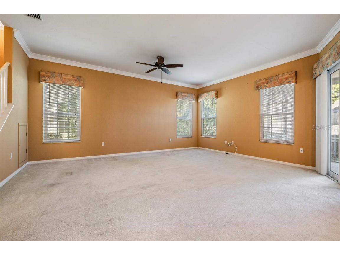 3494 Primrose Way Palm Harbor FL 34683 TB8440377 image20