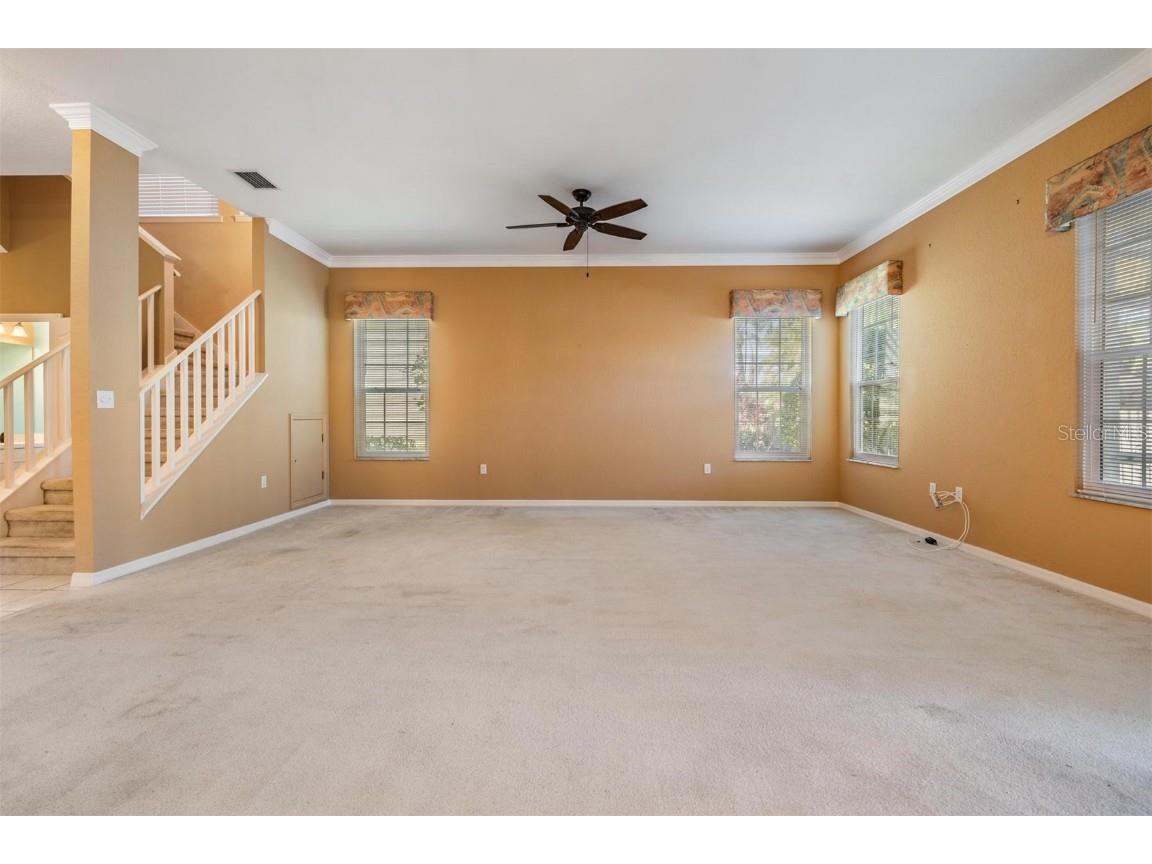 3494 Primrose Way Palm Harbor FL 34683 TB8440377 image21