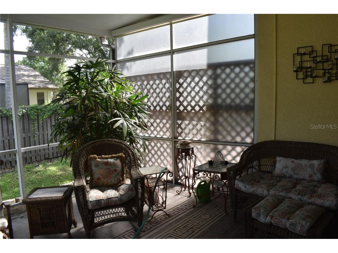 3494 Primrose Way Palm Harbor FL 34683 TB8440377 image25