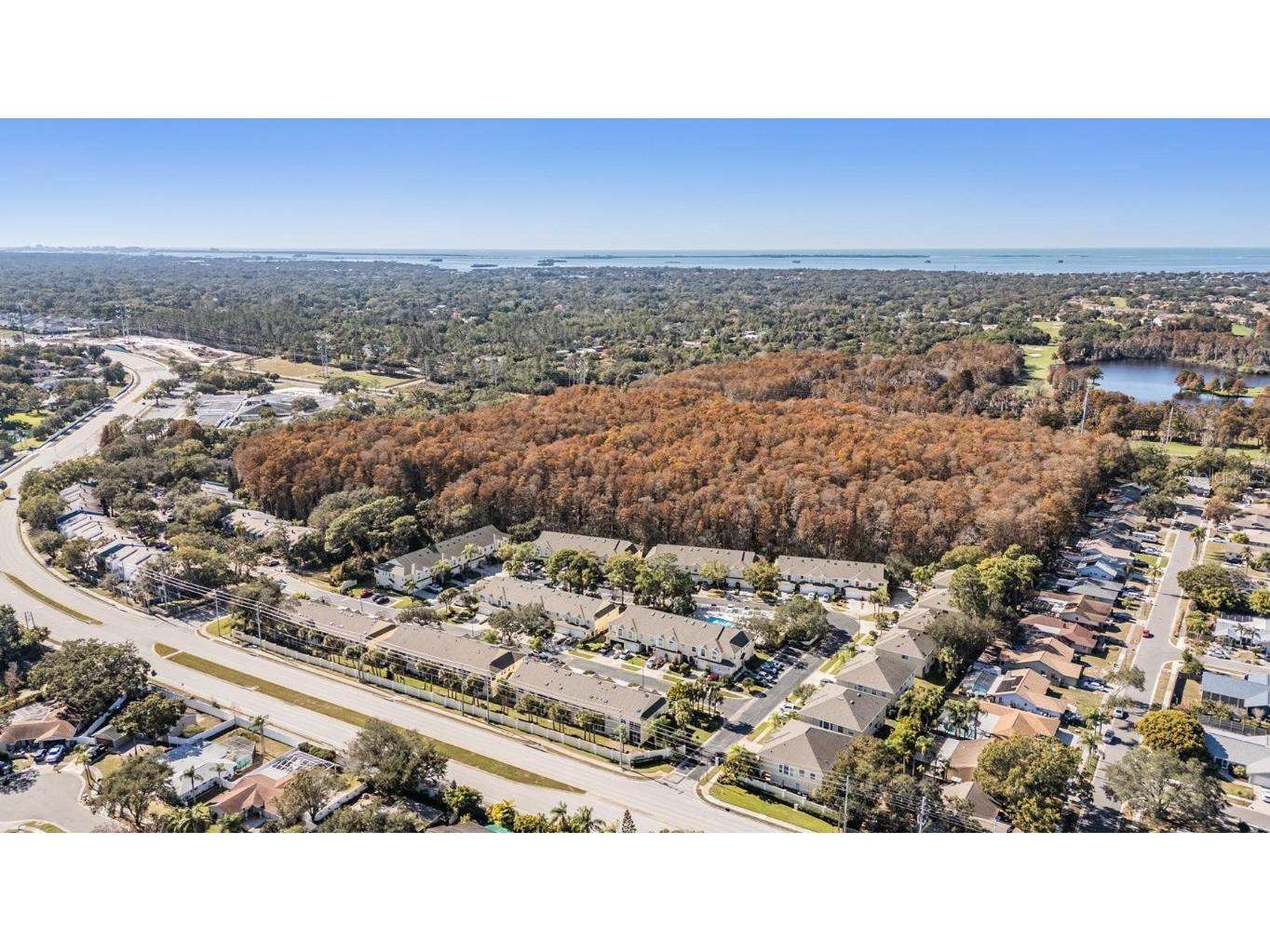3494 Primrose Way Palm Harbor FL 34683 TB8440377 image27