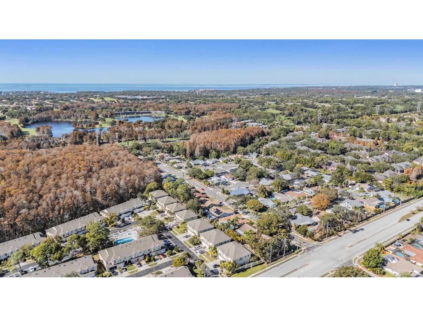 3494 Primrose Way Palm Harbor FL 34683 TB8440377 image28