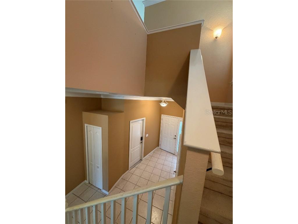 3494 Primrose Way Palm Harbor FL 34683 TB8440377 image29