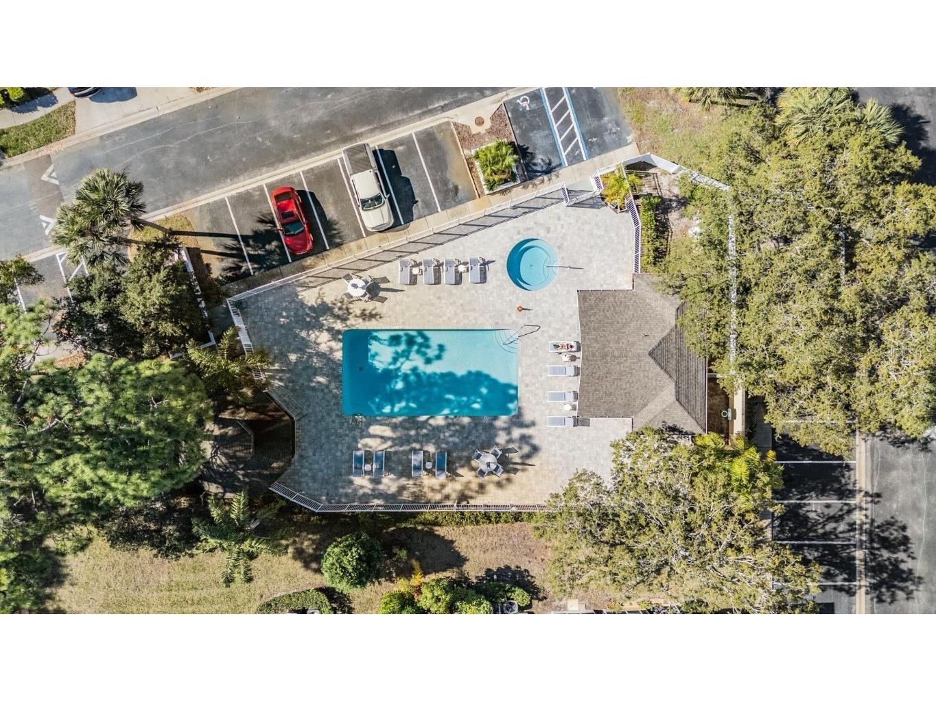 3494 Primrose Way Palm Harbor FL 34683 TB8440377 image3