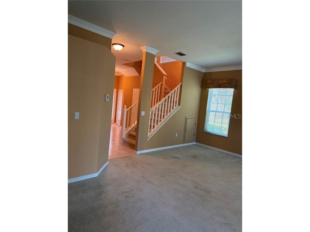 3494 Primrose Way Palm Harbor FL 34683 TB8440377 image30