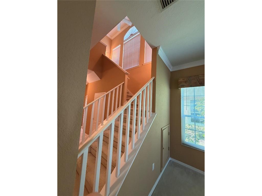 3494 Primrose Way Palm Harbor FL 34683 TB8440377 image31