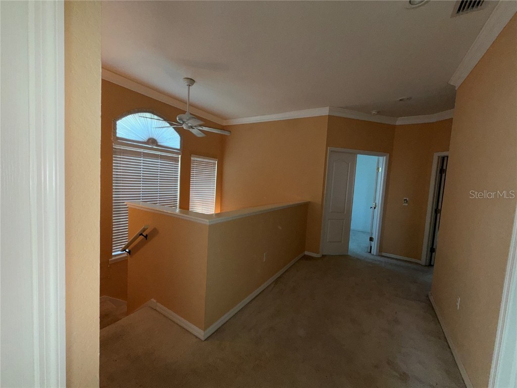 3494 Primrose Way Palm Harbor FL 34683 TB8440377 image32
