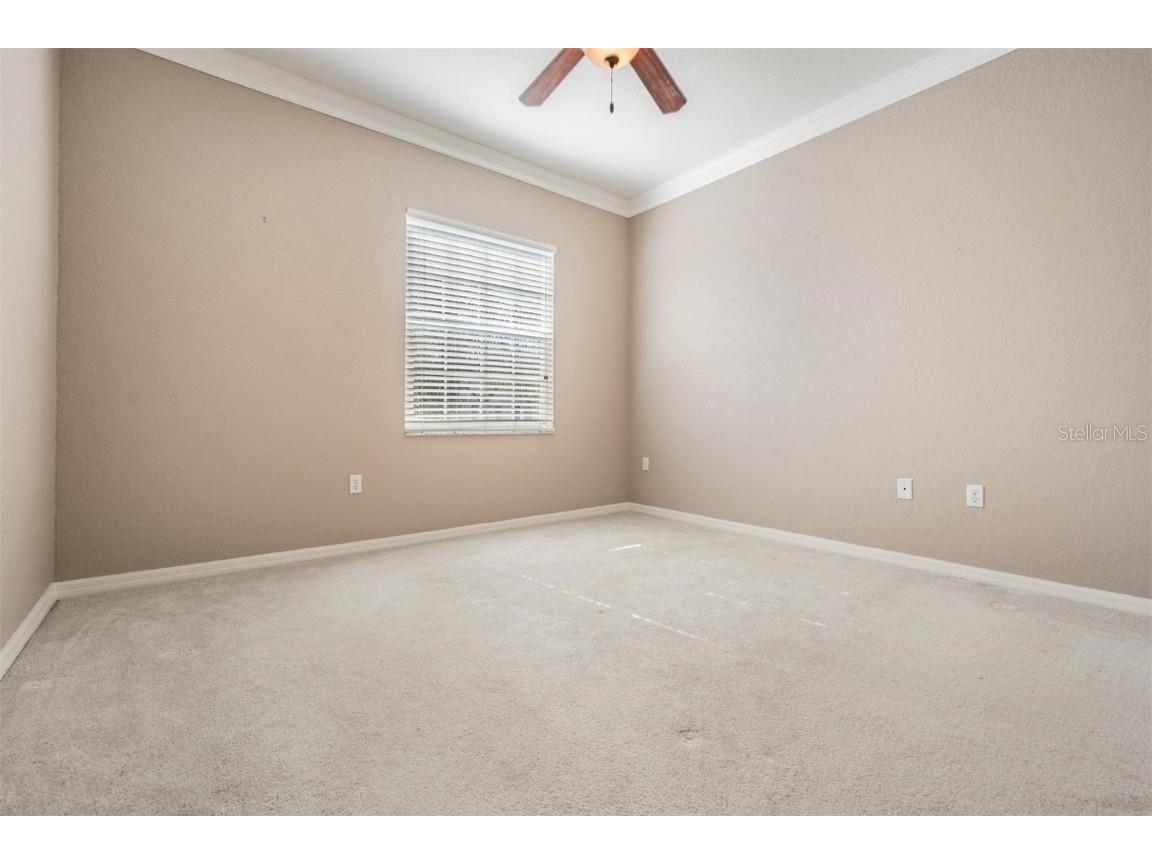 3494 Primrose Way Palm Harbor FL 34683 TB8440377 image35