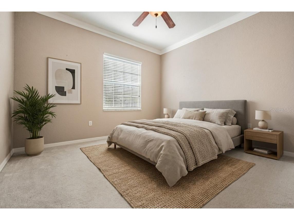 3494 Primrose Way Palm Harbor FL 34683 TB8440377 image36
