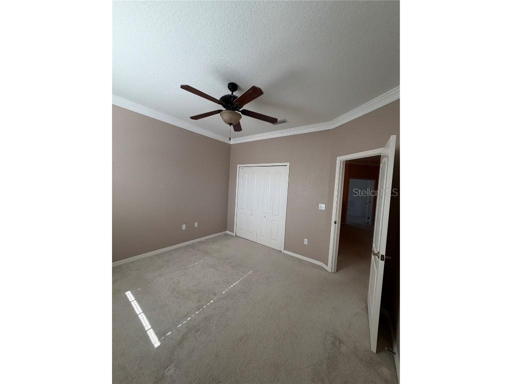3494 Primrose Way Palm Harbor FL 34683 TB8440377 image37