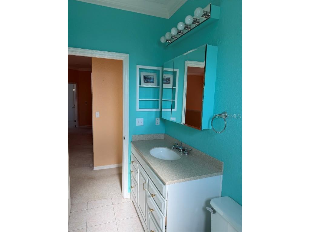 3494 Primrose Way Palm Harbor FL 34683 TB8440377 image39
