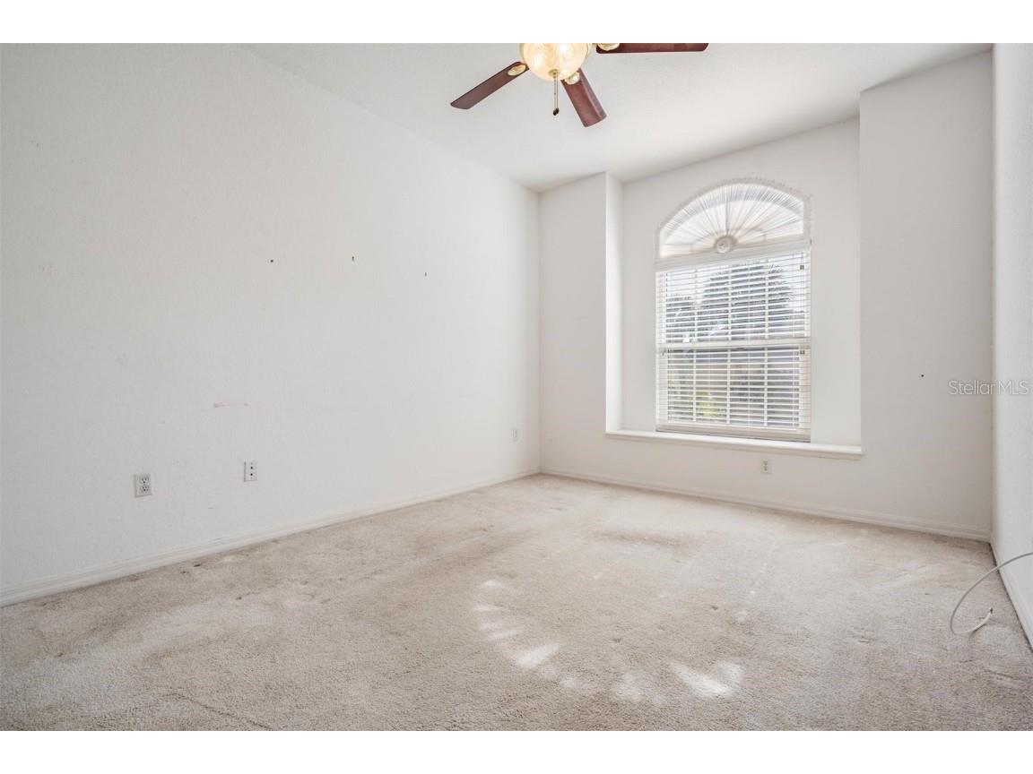 3494 Primrose Way Palm Harbor FL 34683 TB8440377 image40