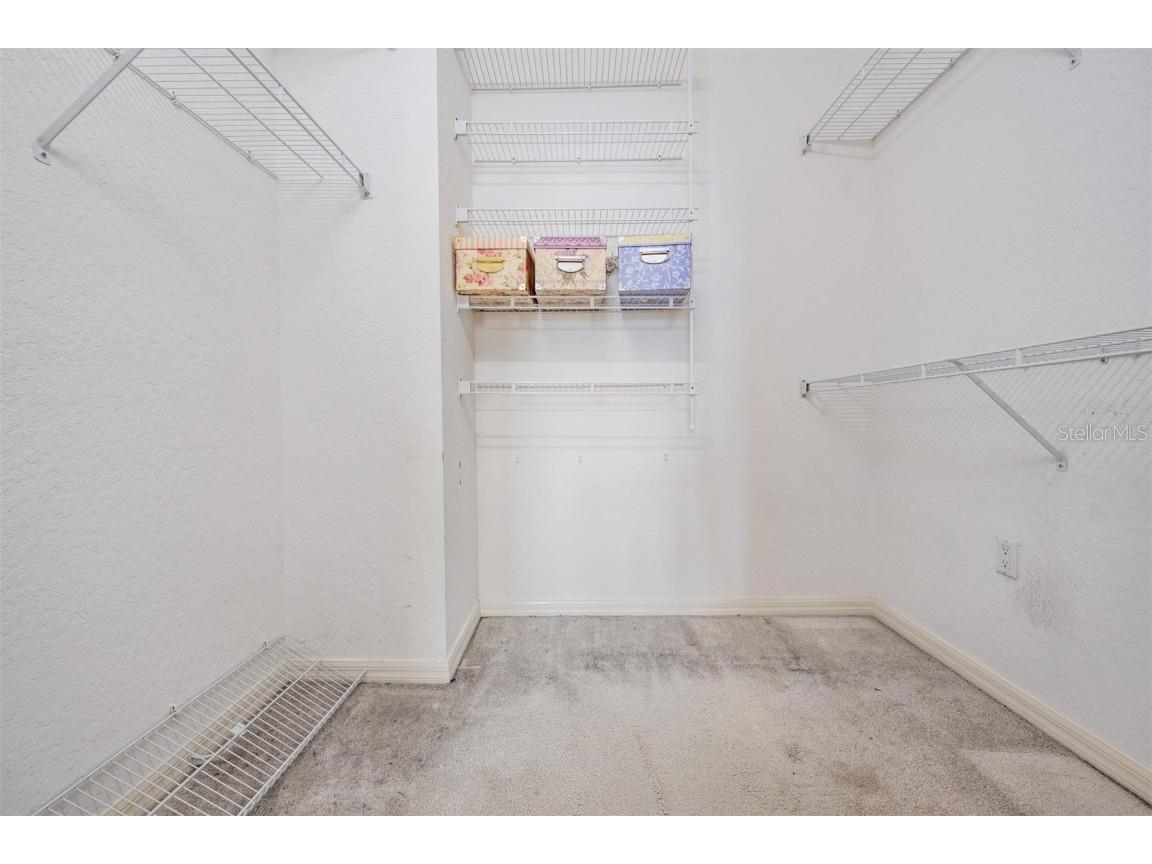 3494 Primrose Way Palm Harbor FL 34683 TB8440377 image45