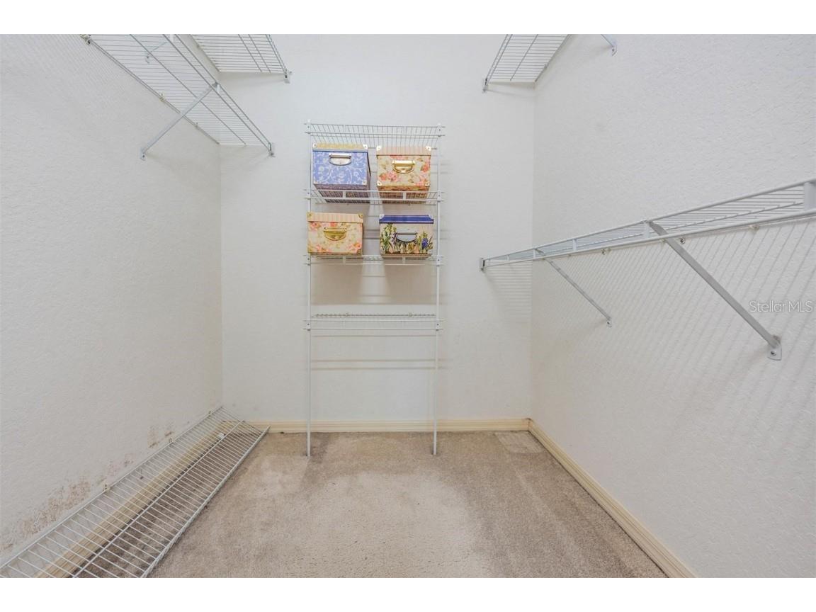 3494 Primrose Way Palm Harbor FL 34683 TB8440377 image46