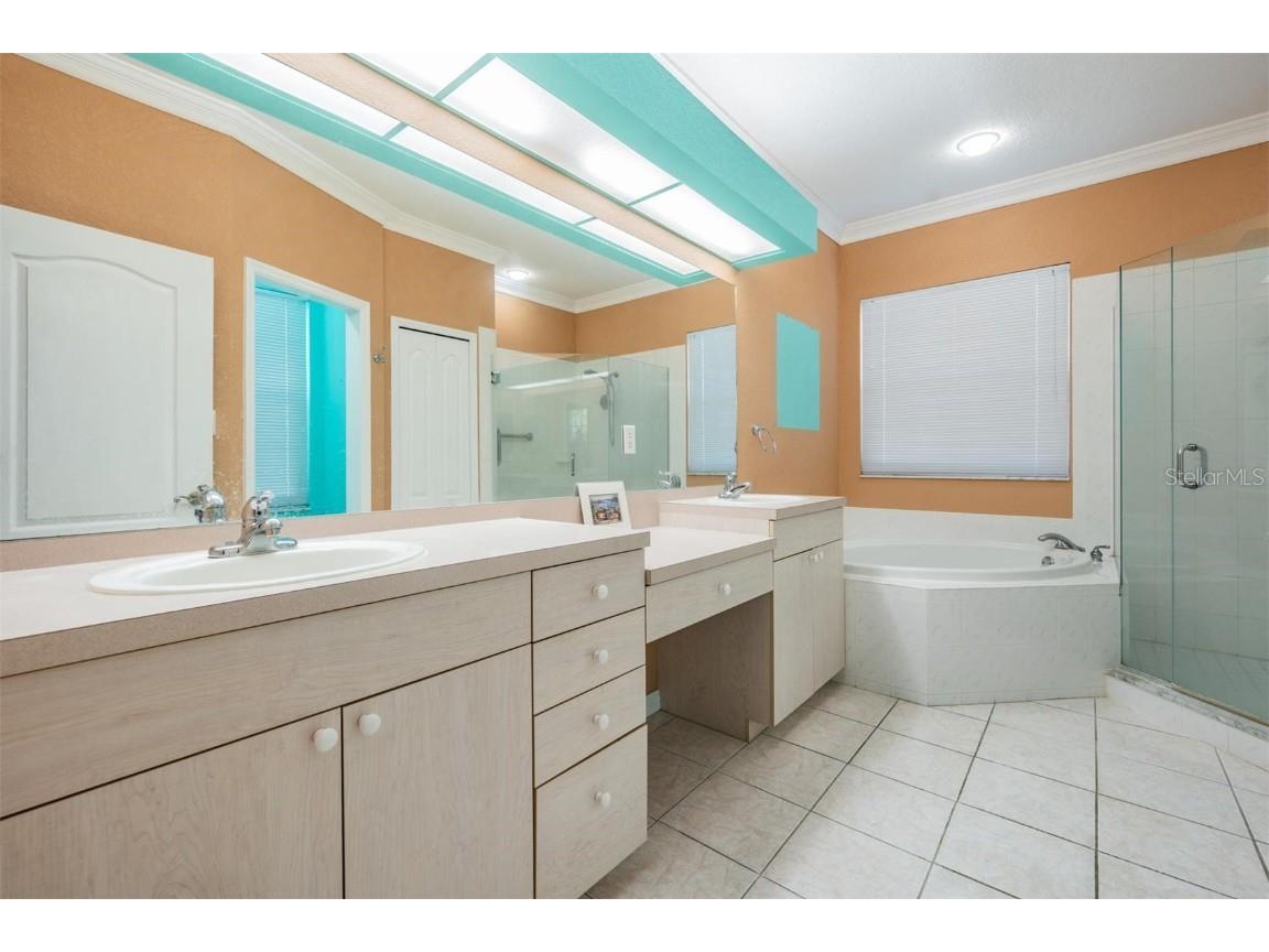 3494 Primrose Way Palm Harbor FL 34683 TB8440377 image47