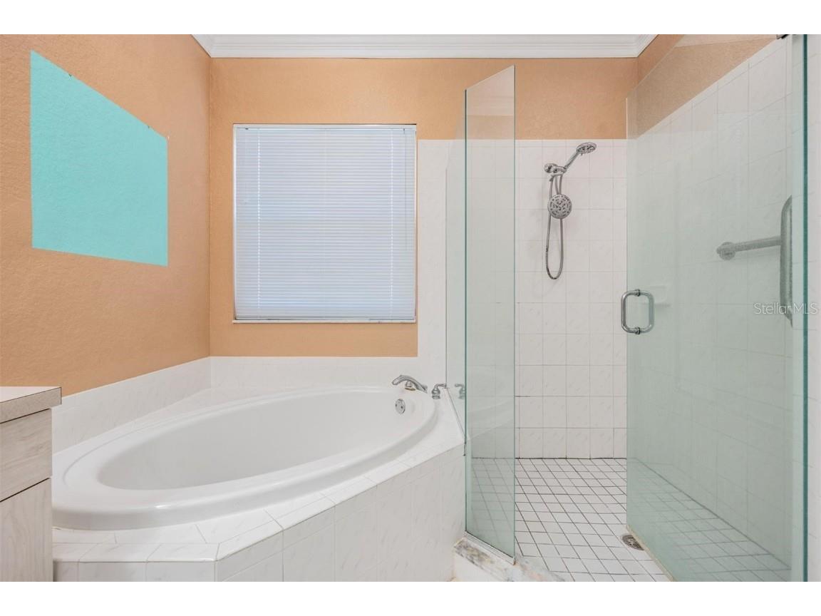 3494 Primrose Way Palm Harbor FL 34683 TB8440377 image48