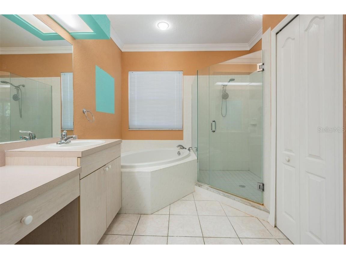 3494 Primrose Way Palm Harbor FL 34683 TB8440377 image49