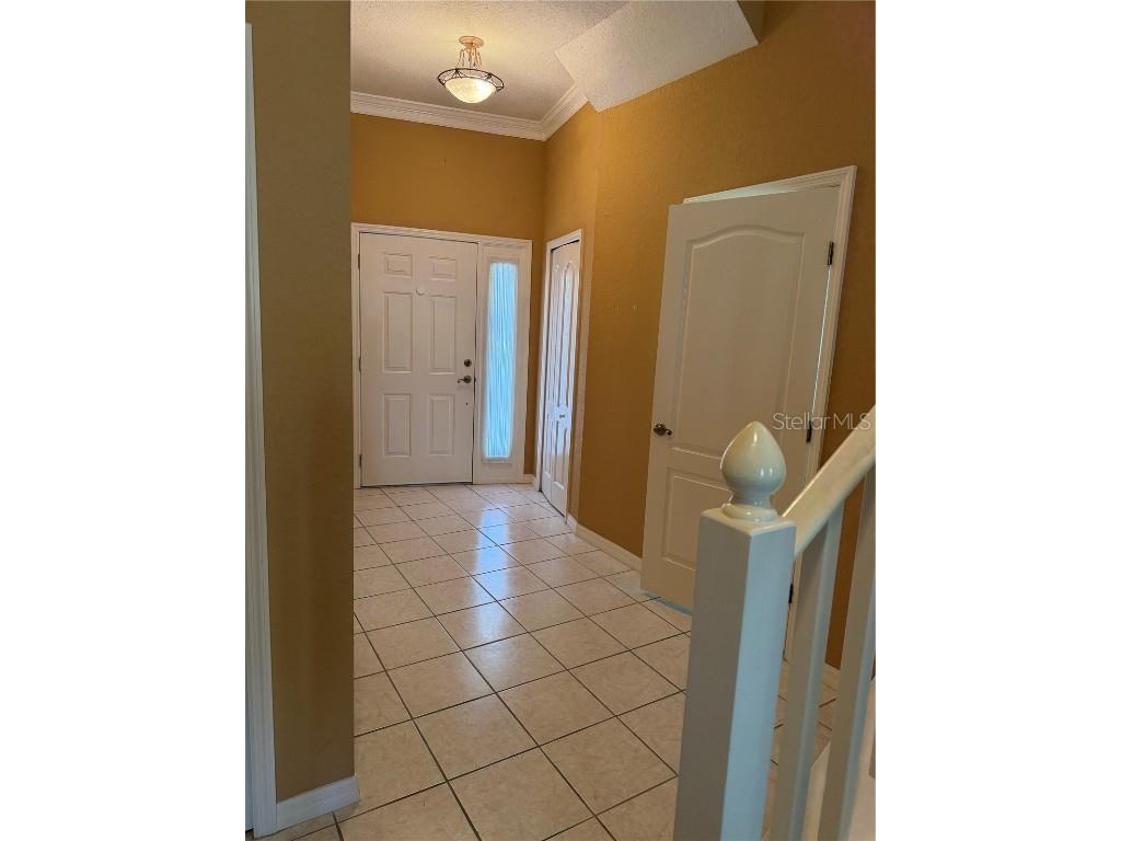3494 Primrose Way Palm Harbor FL 34683 TB8440377 image5