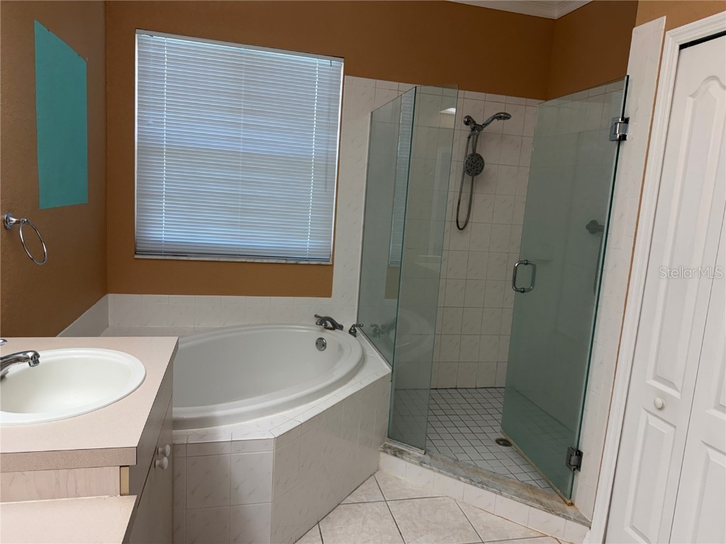 3494 Primrose Way Palm Harbor FL 34683 TB8440377 image50