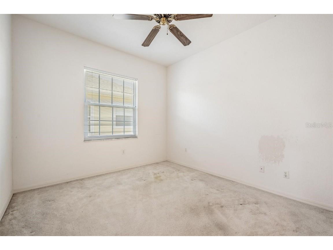 3494 Primrose Way Palm Harbor FL 34683 TB8440377 image53
