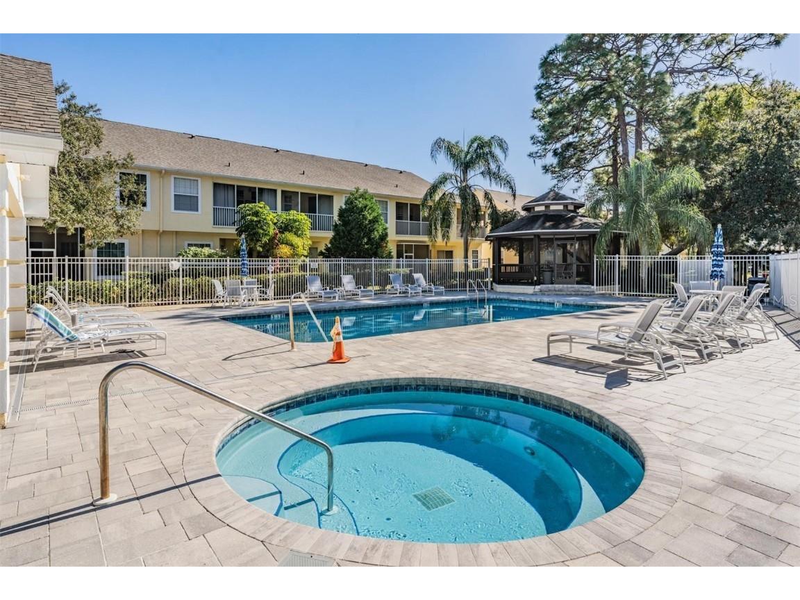 3494 Primrose Way Palm Harbor FL 34683 TB8440377 image57