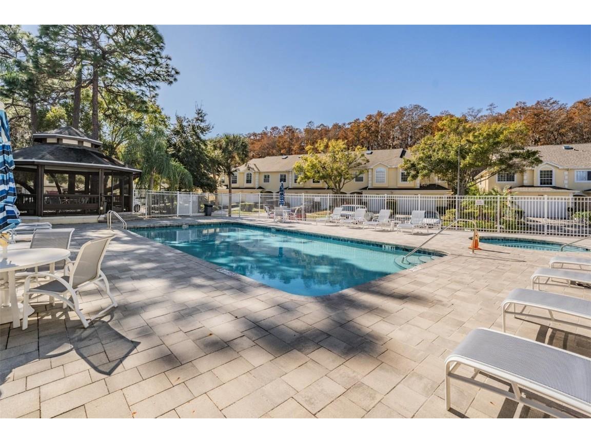 3494 Primrose Way Palm Harbor FL 34683 TB8440377 image59