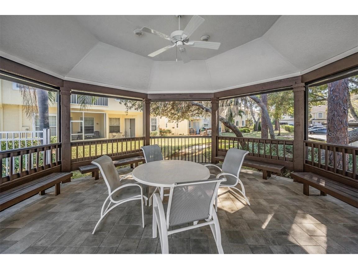 3494 Primrose Way Palm Harbor FL 34683 TB8440377 image60