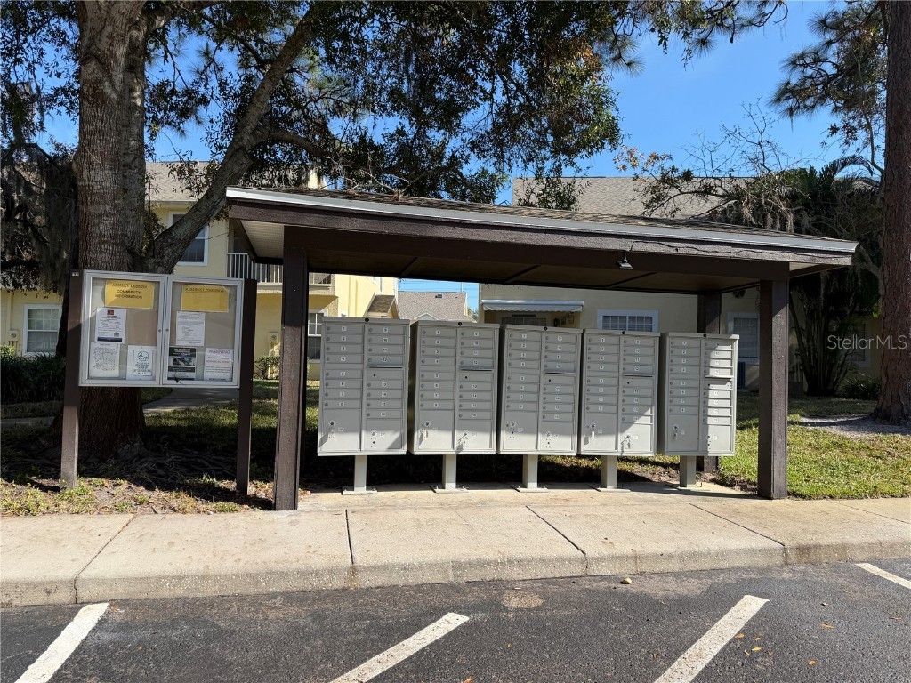 3494 Primrose Way Palm Harbor FL 34683 TB8440377 image61