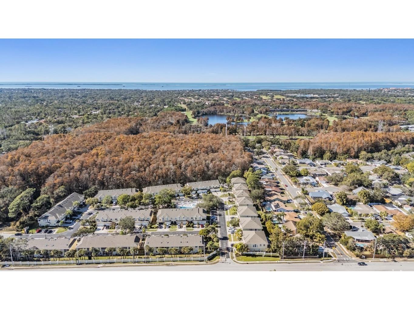 3494 Primrose Way Palm Harbor FL 34683 TB8440377 image63