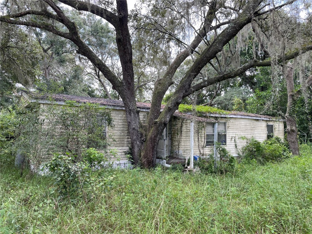34941 Punch Road Dade City FL 33523 L4946768 image1