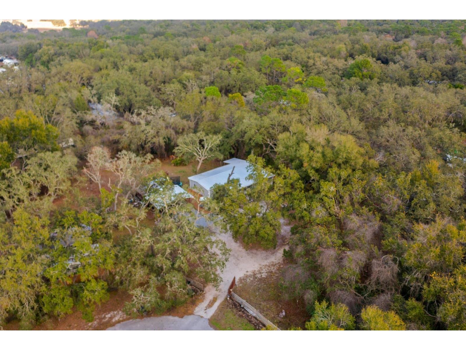 34947 Emily Drive Dade City FL 33523 TB8463002 image31