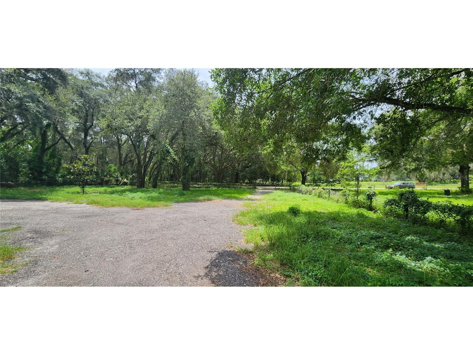 34949 Appaloosa Trail Zephyrhills FL 33541 TB8454890 image10