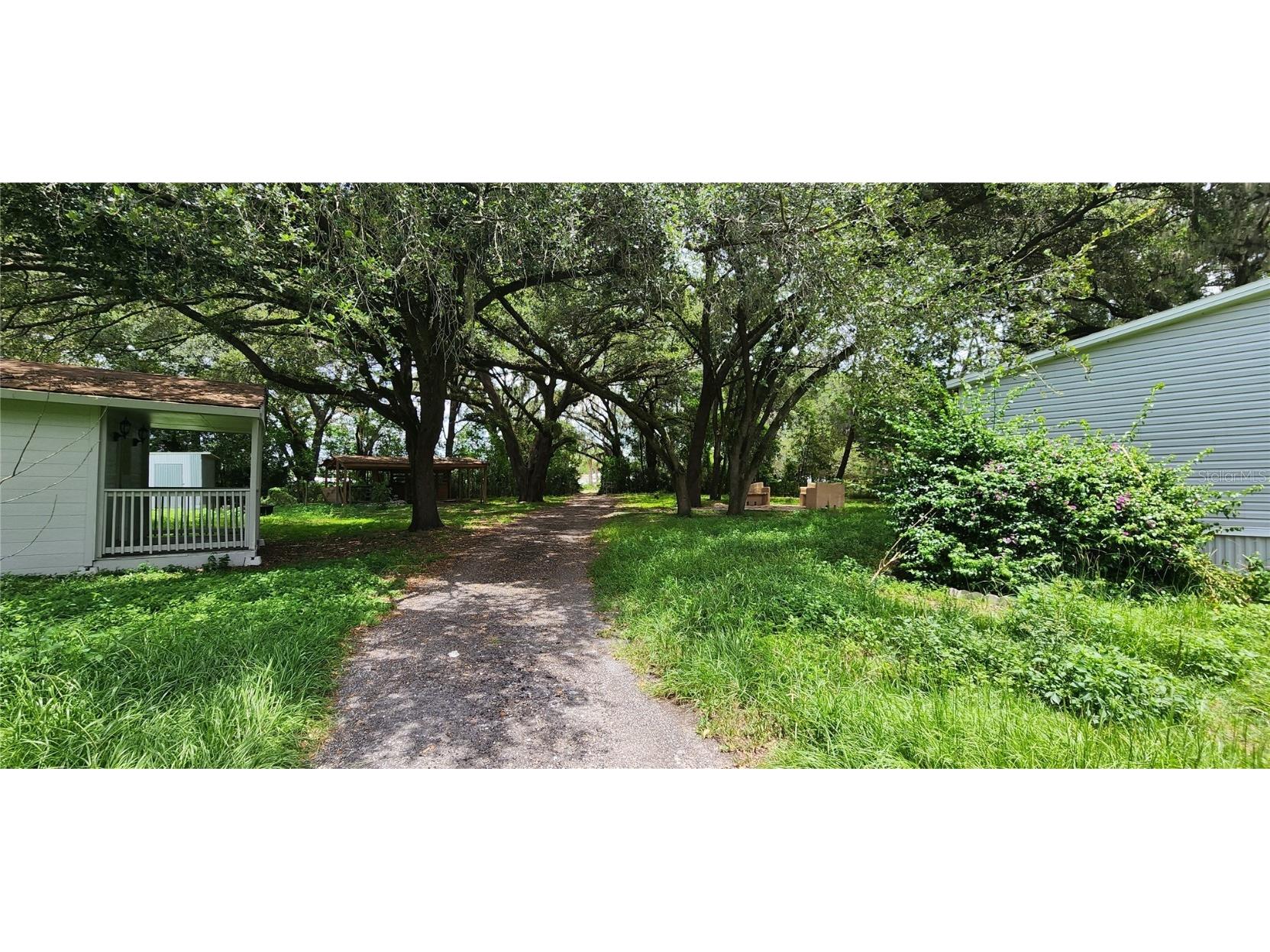 34949 Appaloosa Trail Zephyrhills FL 33541 TB8454890 image9