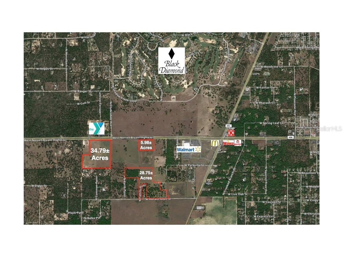 3495 W Horace Allen Street Lecanto FL 34461 U8082251 image1