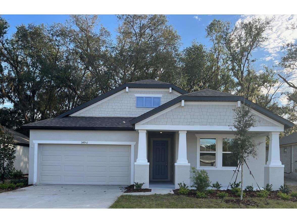 34952 Mulrion Drive Zephyrhills FL 33541 TB8313416 image1