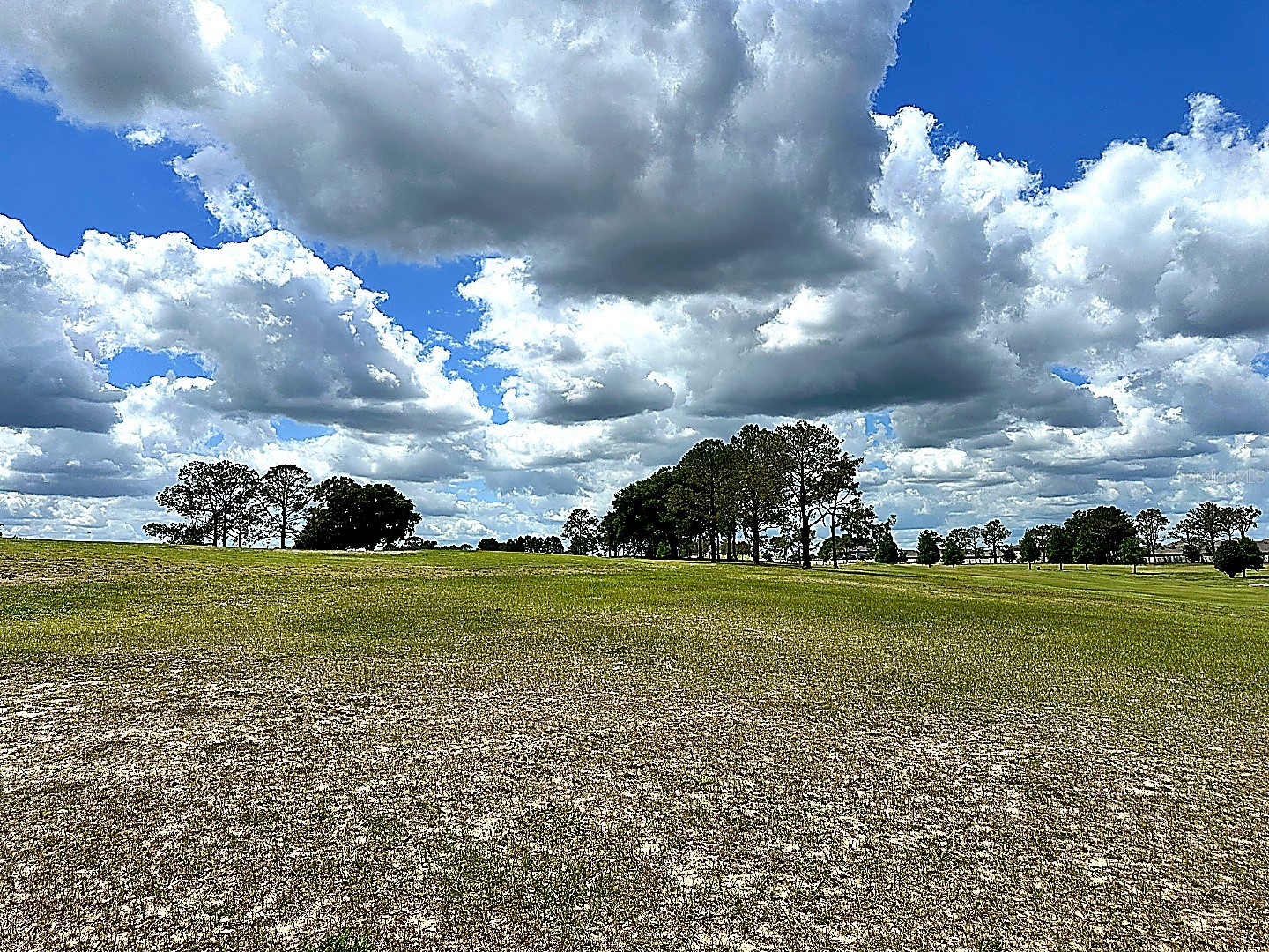 3496 Greenbluff Road #1118 Zellwood FL 32798 O6404171 image10