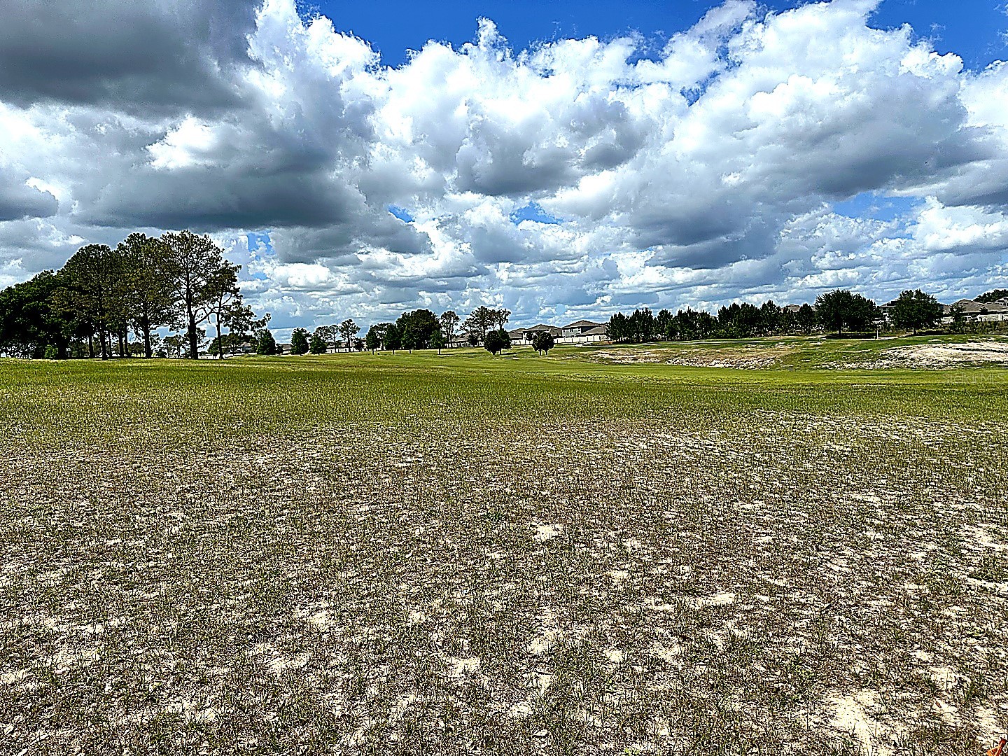 3496 Greenbluff Road #1118 Zellwood FL 32798 O6404171 image9