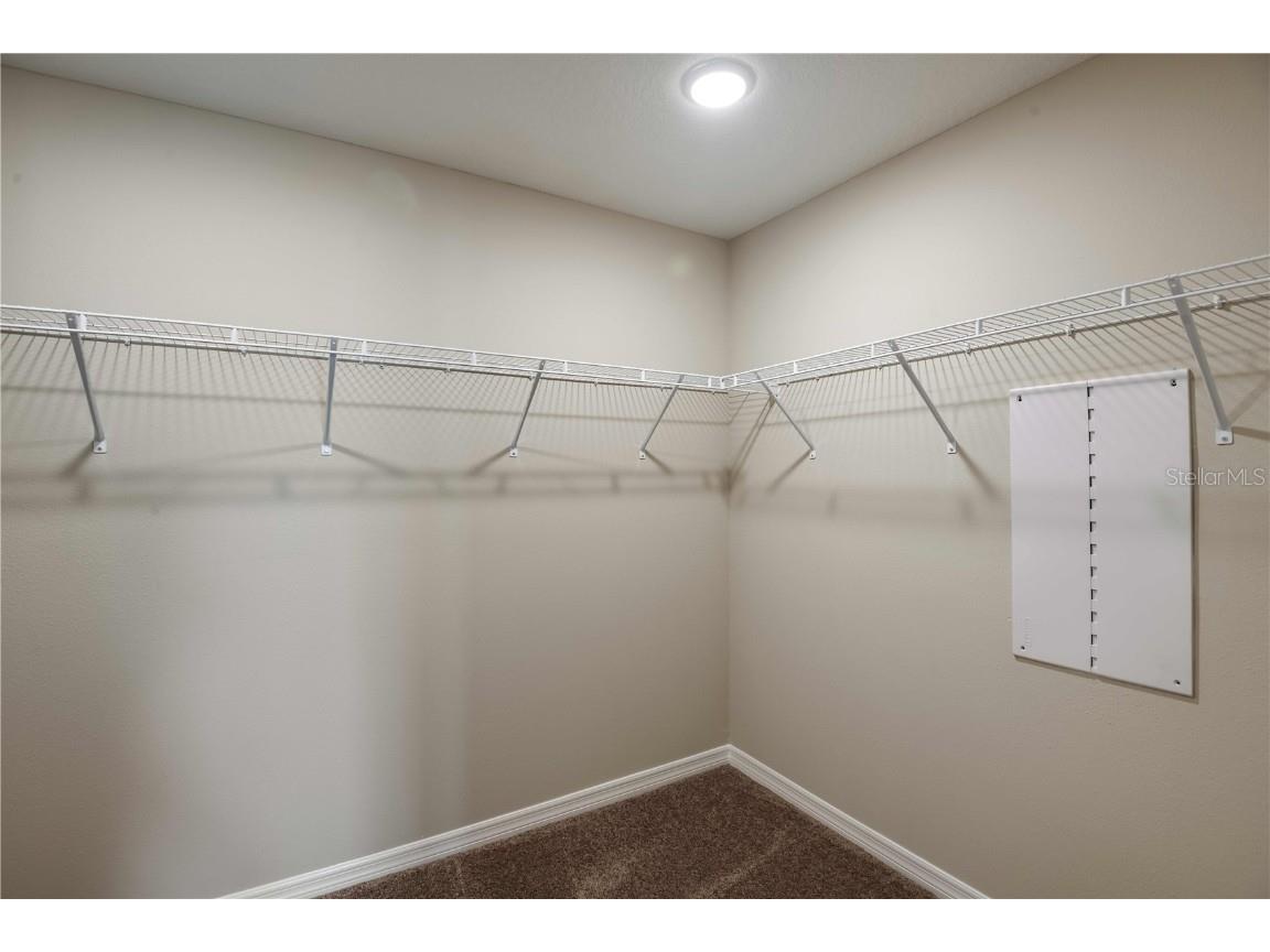 34965 Arbor Retreat Drive Zephyrhills FL 33541 TB8448065 image22