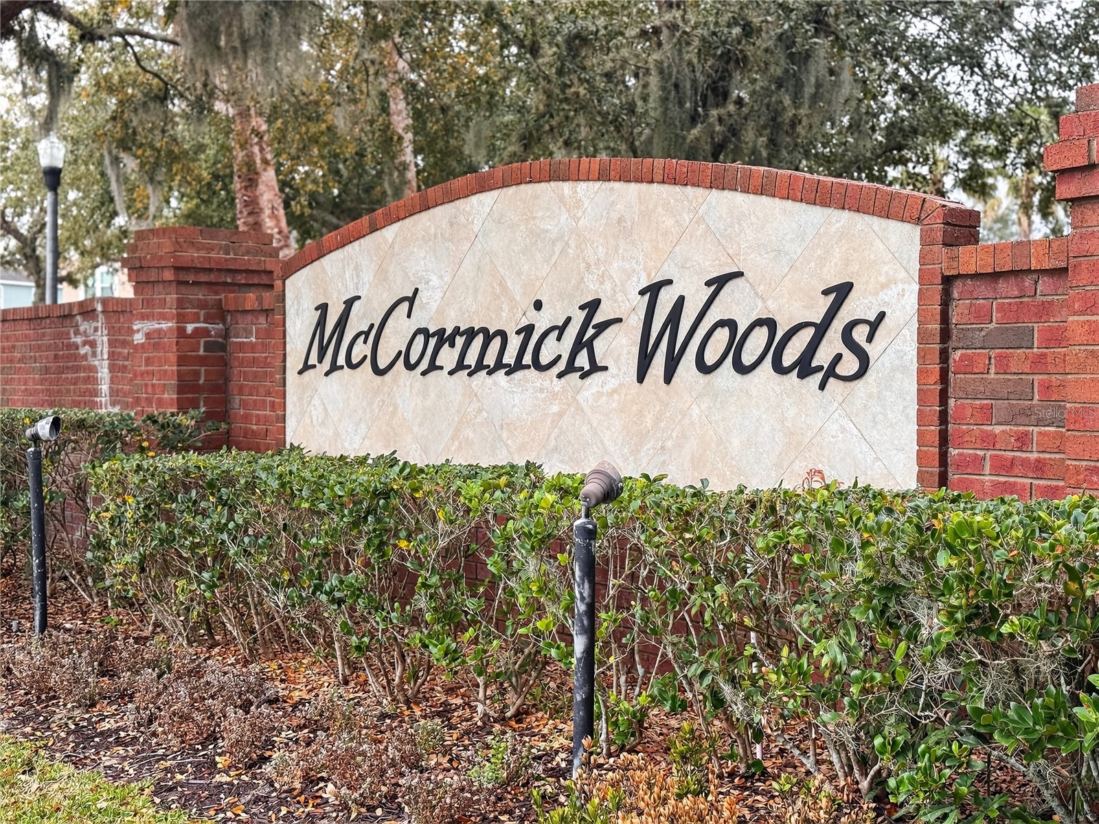 3497 Bunchberry Way Ocoee FL 34761 O6384400 image44