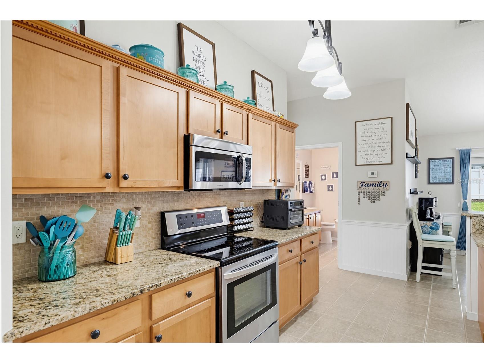 3497 Chadwick Avenue Spring Hill FL 34609 W7886434 image9